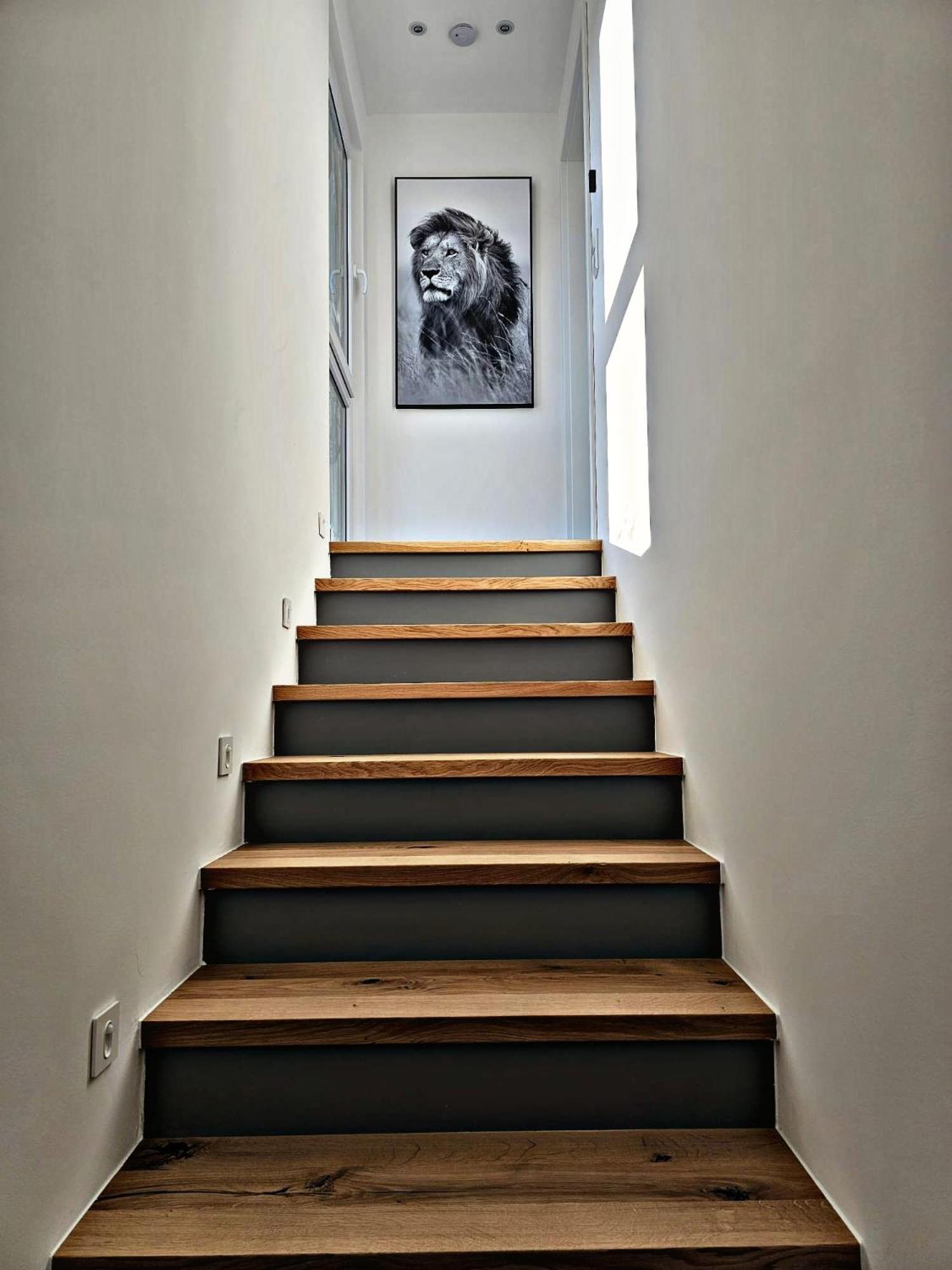 Lions Place Premium Apartments Comfort Optionaler Zugang Zum Spa- Bereich Heidenheim an der Brenz Ngoại thất bức ảnh
