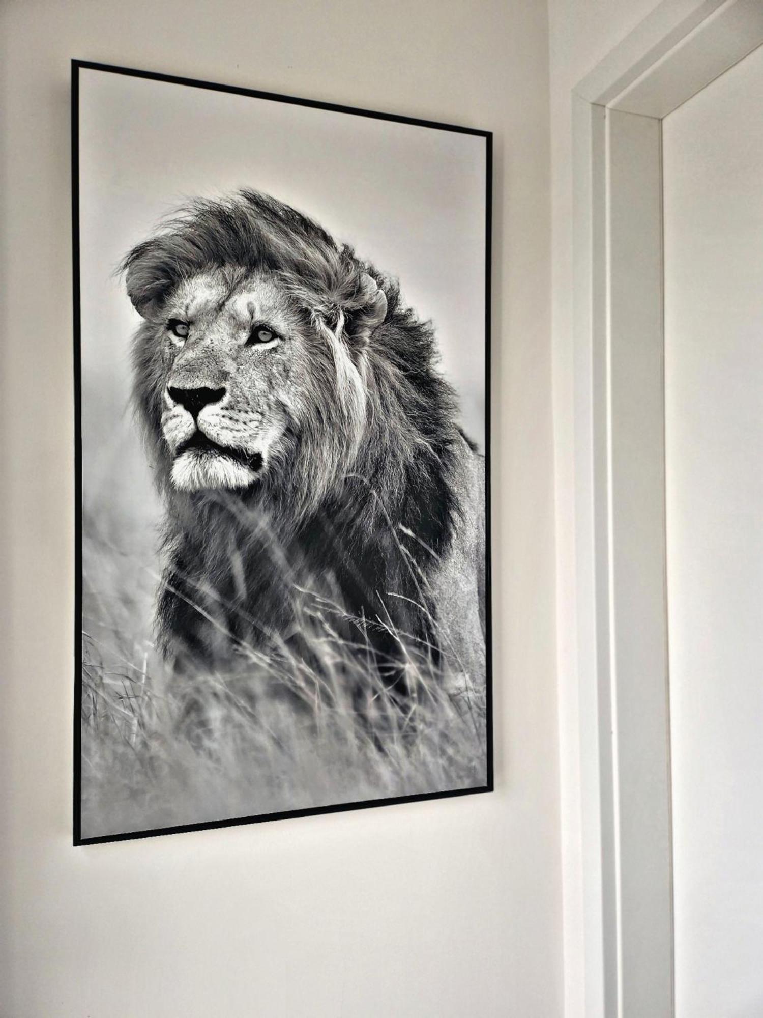 Lions Place Premium Apartments Comfort Optionaler Zugang Zum Spa- Bereich Heidenheim an der Brenz Ngoại thất bức ảnh
